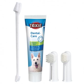 Dental Hygiene Set