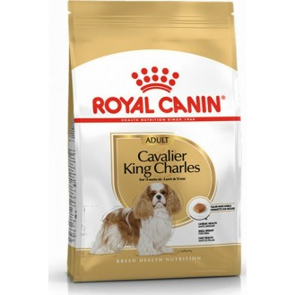 Royal Canin King Charles Cavalier Adult 1.5kG