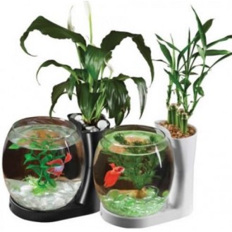 Natural World Aquarium Single Tank 3L