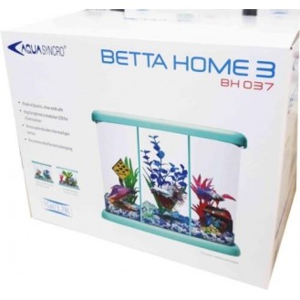 Betta Home 3