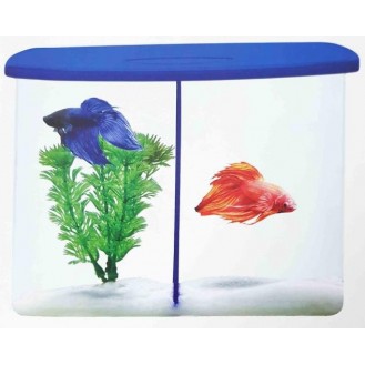 Betta Home 2 