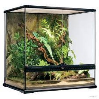 ExoTerra Medium Tall Terrarium 60x45x60cm