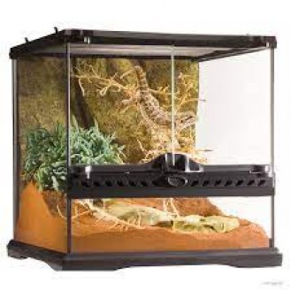 ExoTerra Small Wide natural terrarium 45x45x45cm