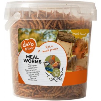 Mealworms Bucket 1L-200GR