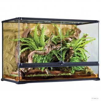 Natural Terrarium Large Tall 90x45x60cm