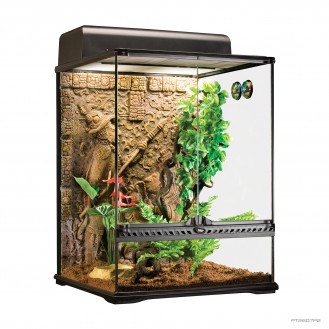 Natural Terrarium Small Tall Complete 45x45x60cm