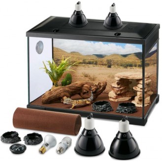 Desert Reptile Starter Kit 62x33x43cm