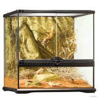 ExoTerra Small Wide natural terrarium 45x45x45cm Complete