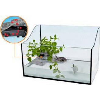 turtle terrarium